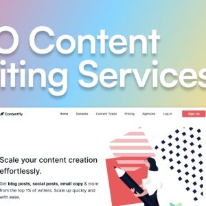 SEO Consulting Services